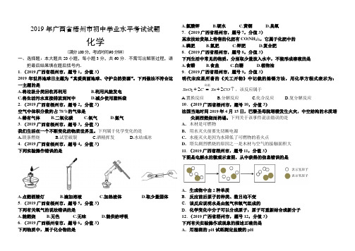 2019 广西省梧州市中考化学真题解析卷