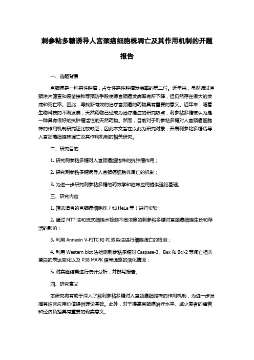 刺参粘多糖诱导人宫颈癌细胞株凋亡及其作用机制的开题报告