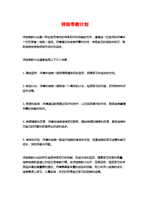 师徒带教计划