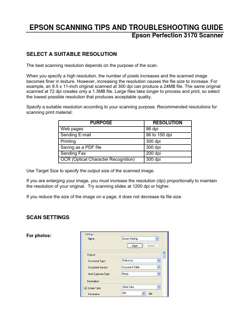 Epson Perfection 3170 Scanner 说明书