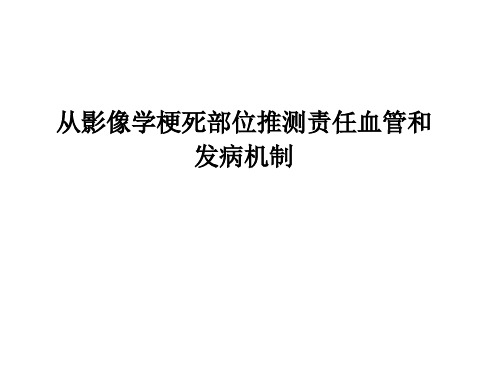 从影像学梗死部位推测责任血管和发病机制