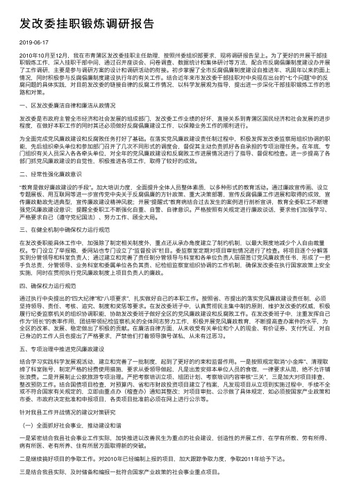 发改委挂职锻炼调研报告