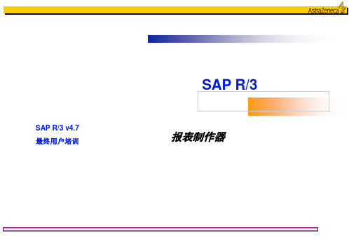 SAP Report Painter Training