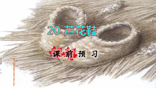 部编版四年级语文下册第21课《芦花鞋》精品课件(统编)
