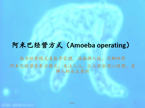 阿米巴经营方式(Amoeba-operating-by-稻盛和夫)PPT课件