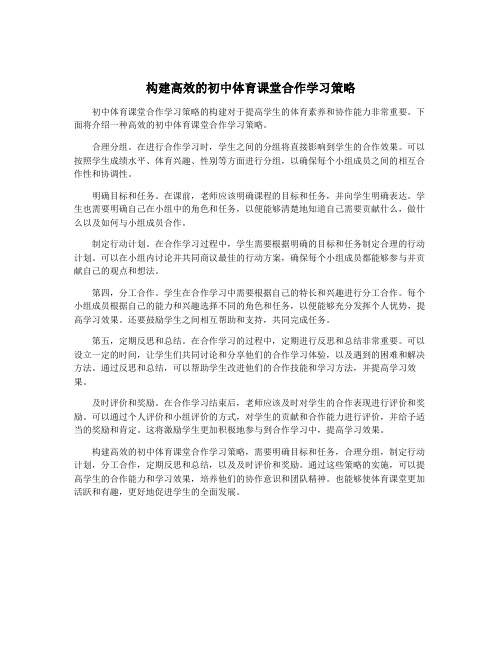 构建高效的初中体育课堂合作学习策略