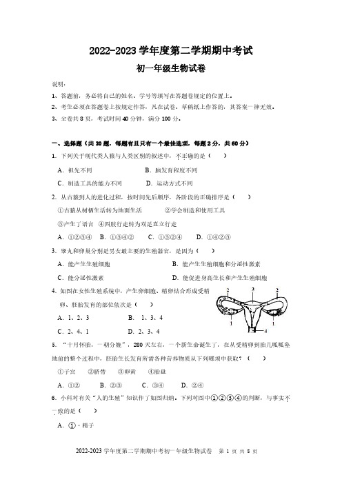 2023年深圳福田区七年级下册生物期中考试试卷