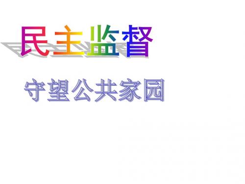 2.4民主监督守望公共家园.