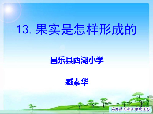 13果实是怎样形成的最新课件