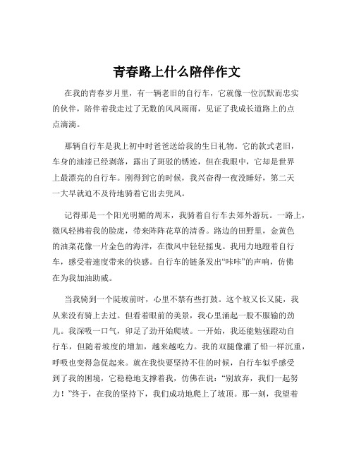 青春路上什么陪伴作文