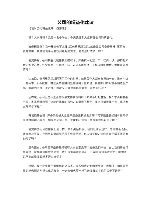 公司的精益化建议