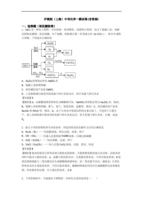 沪教版(上海)中考化学一模试卷(含答案)