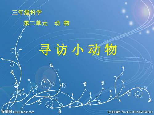 最新科教版科学小学三年级上册《2.1寻访小动物》最新精品课件PPT观摩课示范课公开课优质课赛教课课件ppt