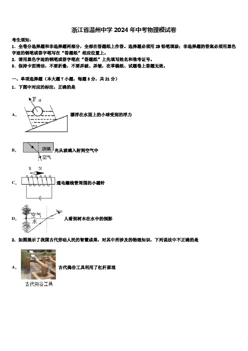 浙江省温州中学2024年中考物理模试卷含解析