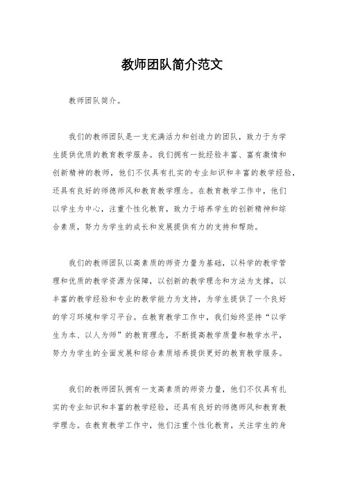 教师团队简介范文