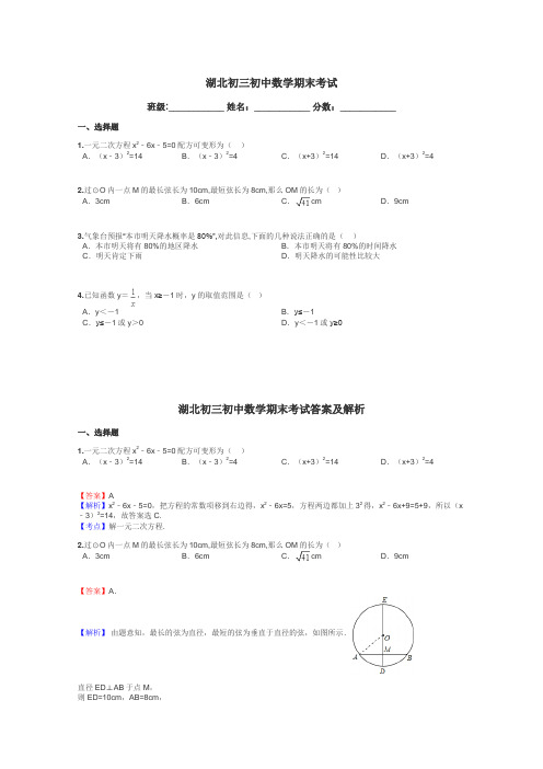 湖北初三初中数学期末考试带答案解析
