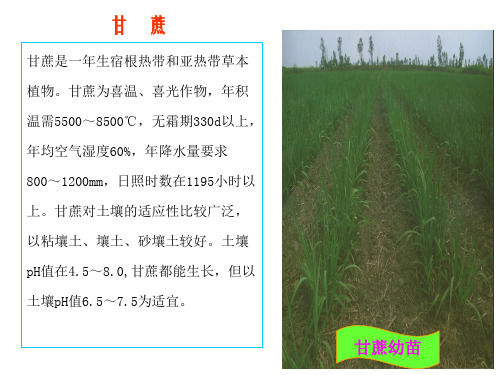 制糖工艺流程简介