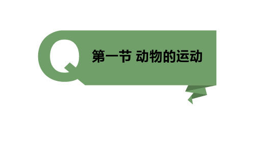 5.2.1动物的运动课件(20张PPT)2023--2024学年人教版生物八年级上册