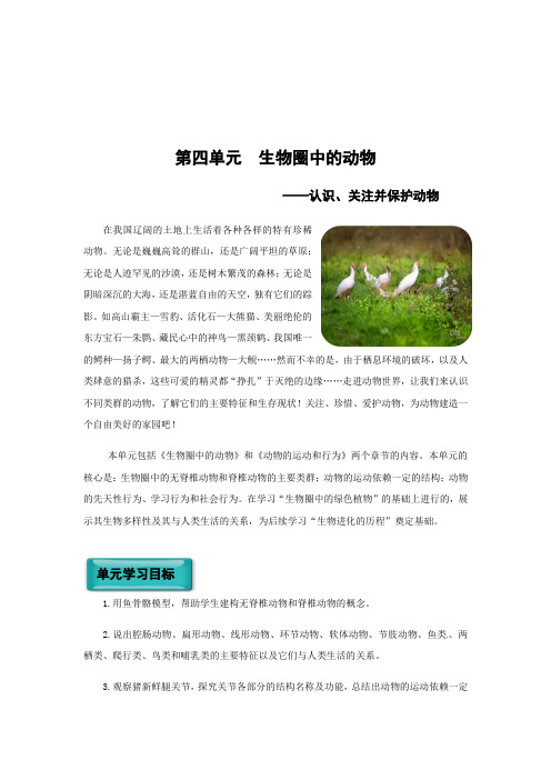 第4单元生物圈中的动物教案-九年级生物复习