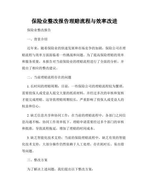 保险业整改报告理赔流程与效率改进