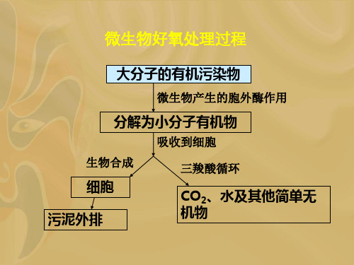 第二章好氧生物处理技术