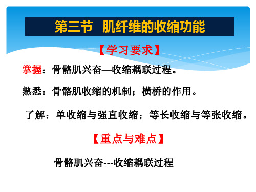 中职护理专业第二章 细胞的基本功能3肌纤维的收缩1