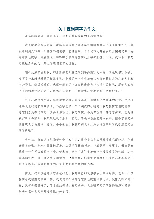 关于练钢笔字的作文