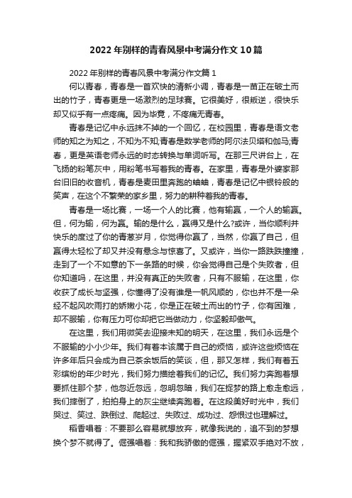 2022年别样的青春风景中考满分作文10篇