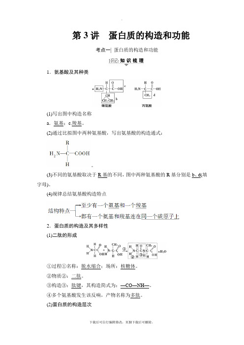 2021高考苏教版生物一轮复习讲义： 必修1 第1单元 第3讲 蛋白质的结构和功能