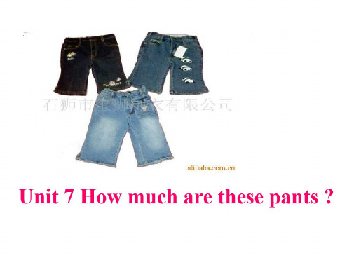 七年级英语How-much-are-these-pants课件3