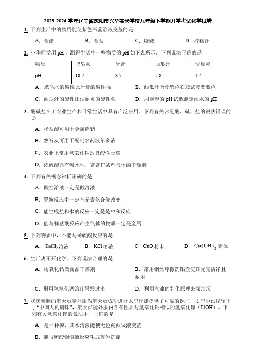 2023-2024学年辽宁省沈阳市兴华实验学校九年级下学期开学考试化学试卷