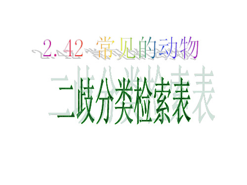 2.4.2 常见的动物(无脊椎动物、二歧分类检索表)资料