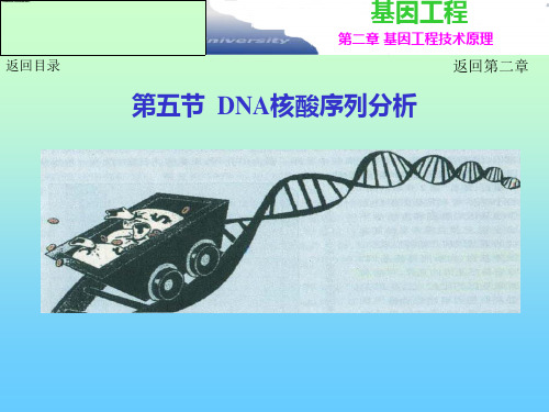 第二章 基因工程主要技术原理-DNA序列分析