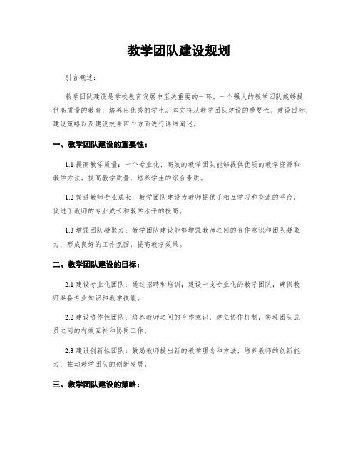 教学团队建设规划