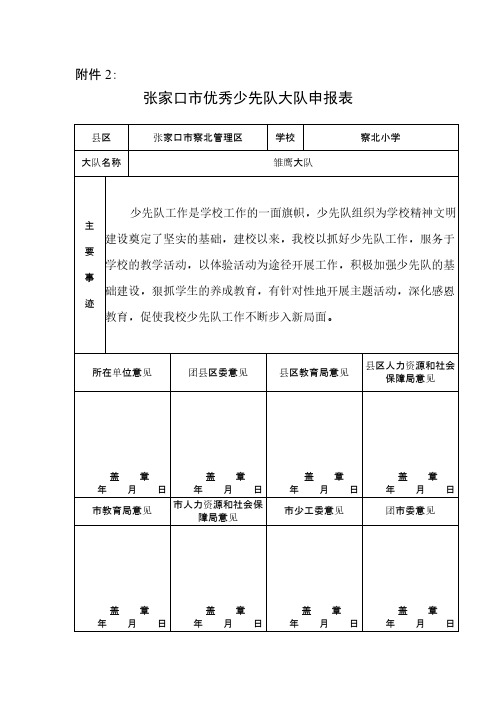 【VIP专享】优秀大队申报表及事迹材料