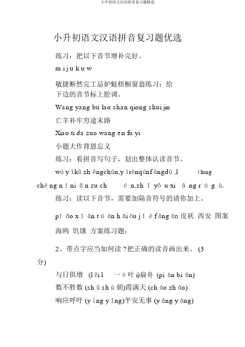 小升初语文汉语拼音复习题精选