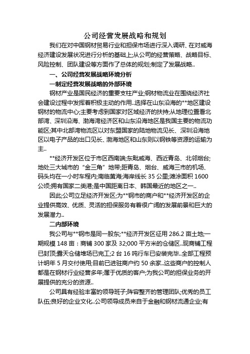 公司经营发展战略和规划