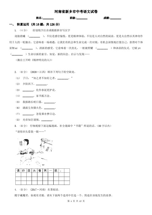 河南省新乡市中考语文试卷