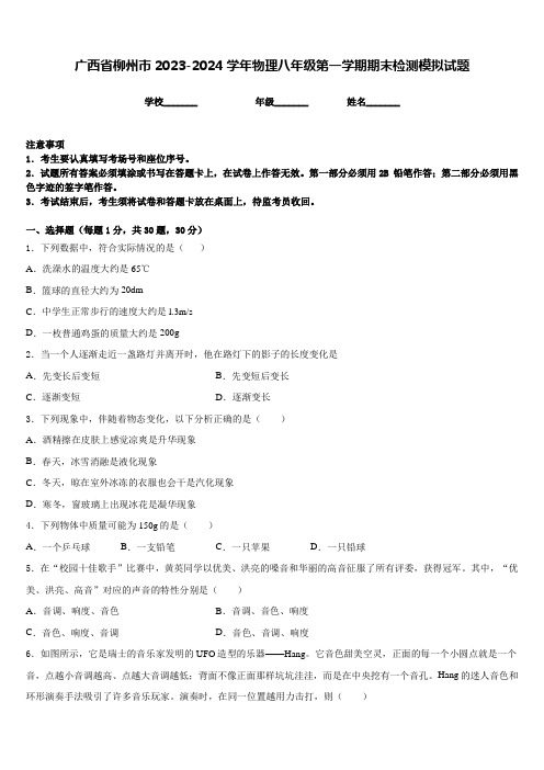 广西省柳州市2023-2024学年物理八年级第一学期期末检测模拟试题含答案