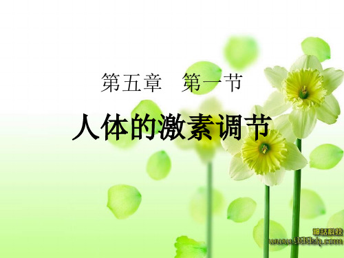 人体的激素调节-七年级下生物-济南版.ppt