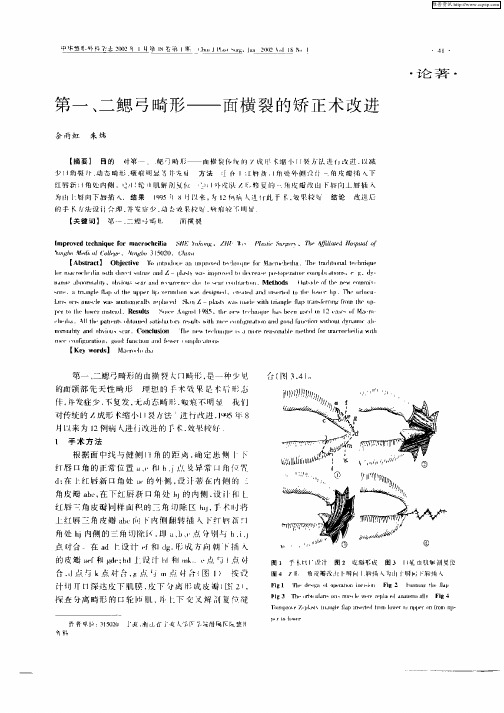 第一、二鳃弓畸形—面横裂的矫正术改进