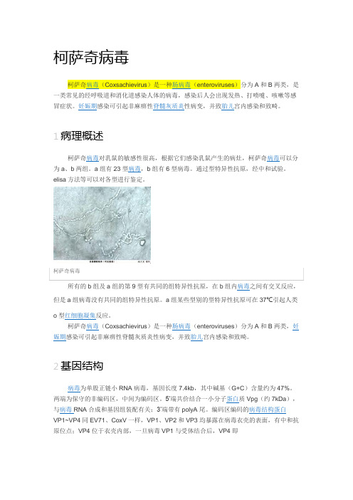 柯萨奇病毒