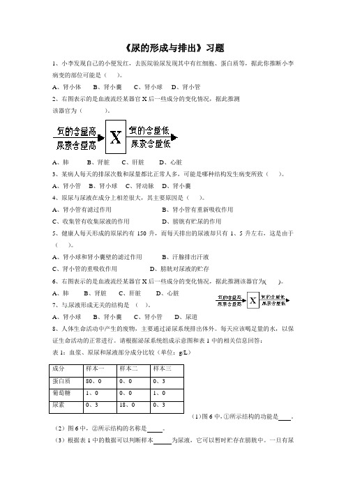 北师大版-生物-七年级下册-第11章 第二节《尿的形成与排出》同步作业