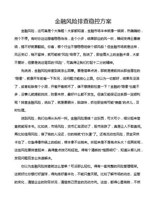 金融风险排查稳控方案