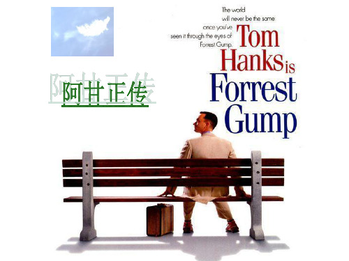 Forrest Gamp 中文版介绍