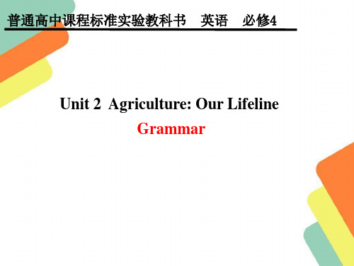 教科版Book 4 Unit 2 Grammar (11PPT).ppt