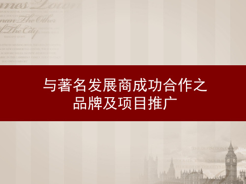 泰晤士城项目品牌及项目推广145p营销策划方案