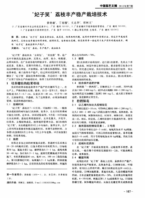 ‘妃子笑’荔枝丰产稳产栽培技术