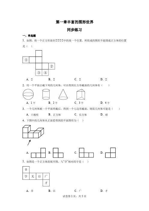 第一章丰富的图形世界同步练习2024—2025学年北师大版数学七年级上册