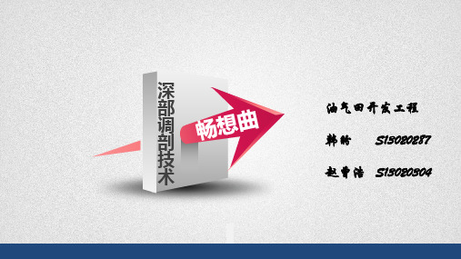 深部调剖技术畅想曲